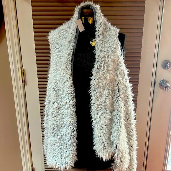 Akira Fuzzy Fake Fur Vest | Poshmark